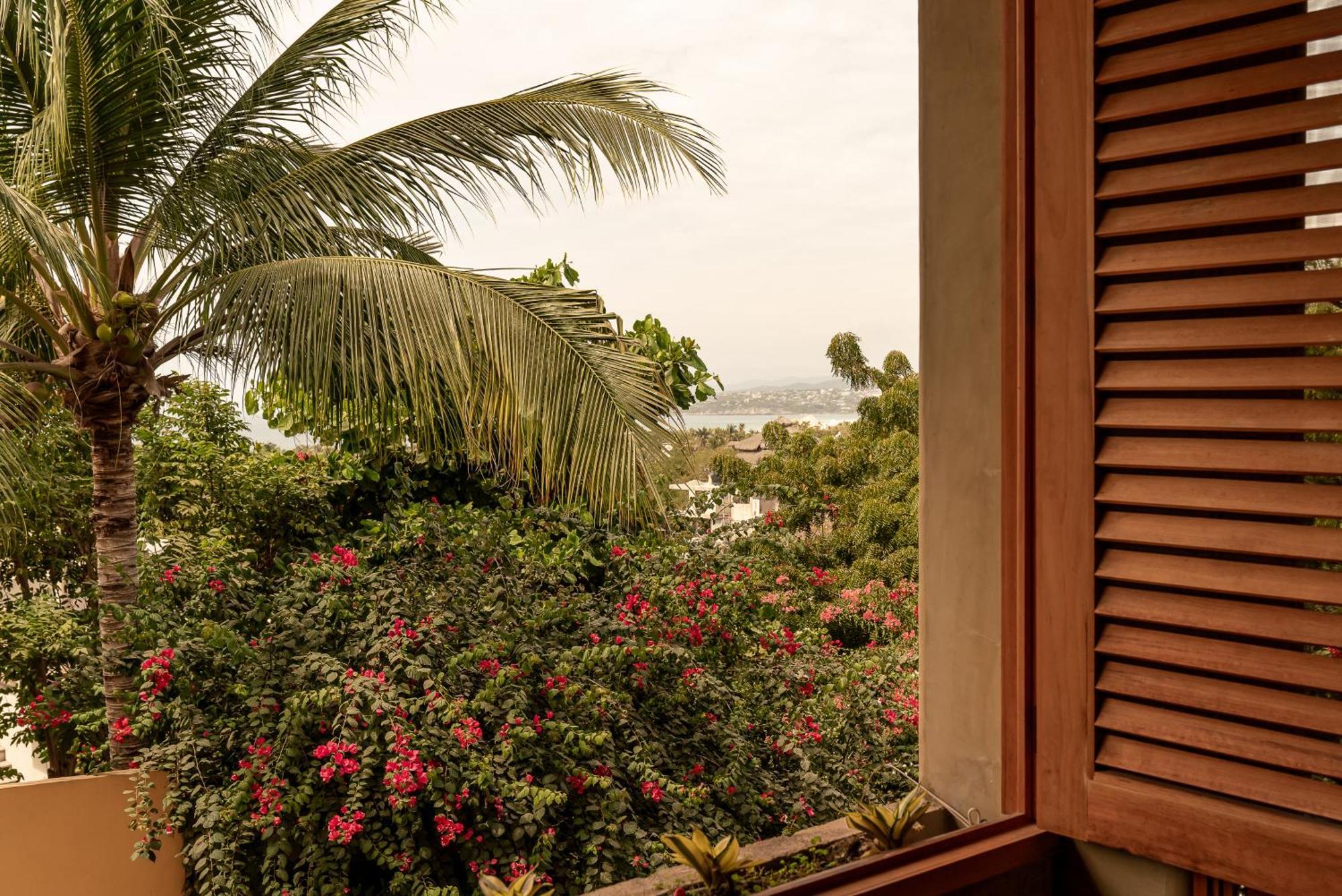Villa Macarena Apartamentos Boutique - Adults Only Puerto Escondido (Oaxaca) Quarto foto